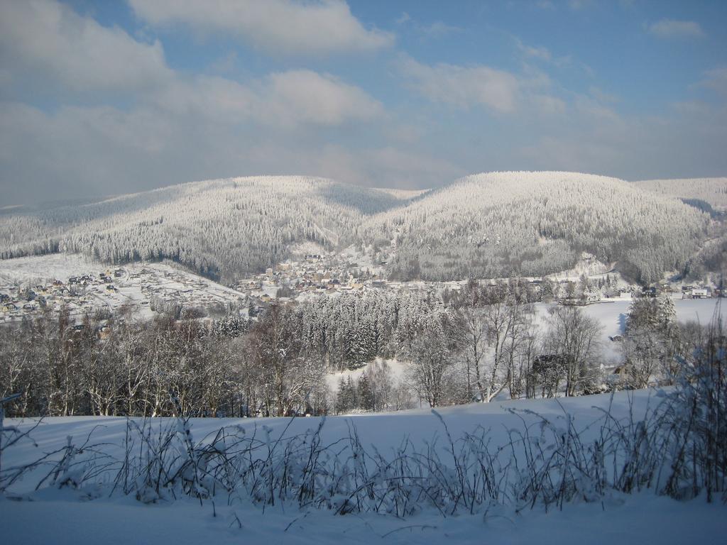 Fruehstuecks Pension Zum Postillion Klingenthal Exteriör bild